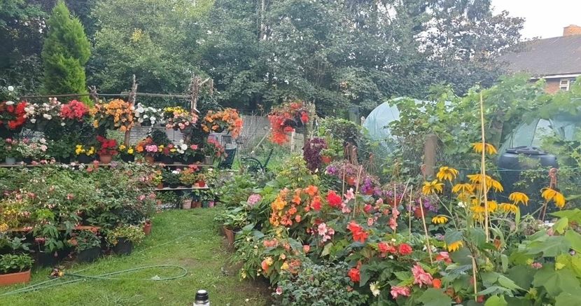 received_1033968291118962 - 0 Gradina 2023