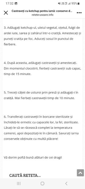 Screenshot_20230820_173232_Facebook - Castraveti cu ketchup la borcan pentru iarna