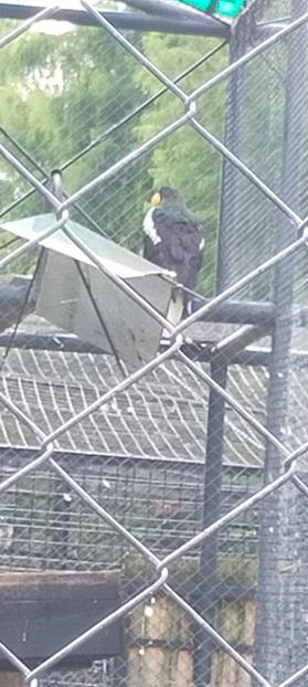 IMG20230812151336 - August