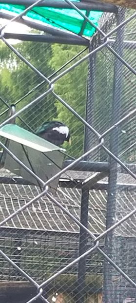 IMG20230812151331 - August