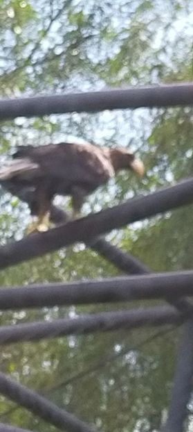 IMG20230812151114 - August