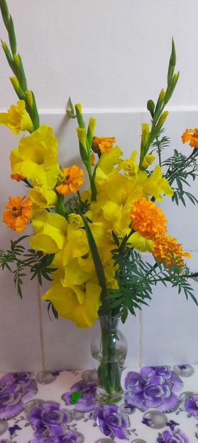 IMG20230807222310 - August