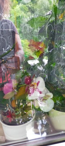 IMG20230726150001 - August