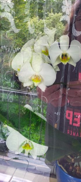 IMG20230726145956 - August