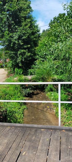 IMG20230719160959 - August