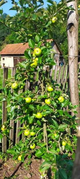 IMG20230719094912 - August