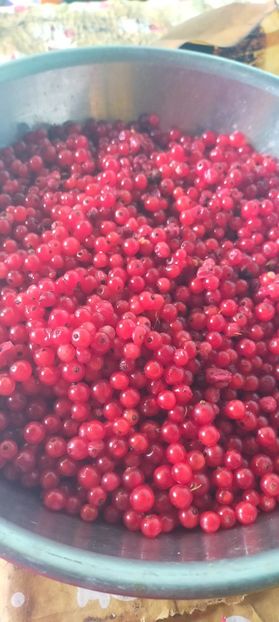 IMG20230717151635 - August