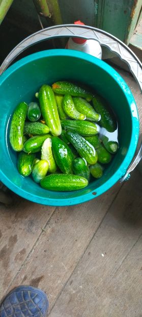 IMG20230717150155 - August