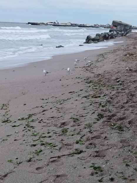  - Marea și stațiunile ei !