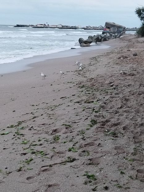  - Marea și stațiunile ei !