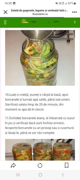 Screenshot_20230821_163044_Facebook - Salata de gogonele legume si verdeata la borcan pentru iarna