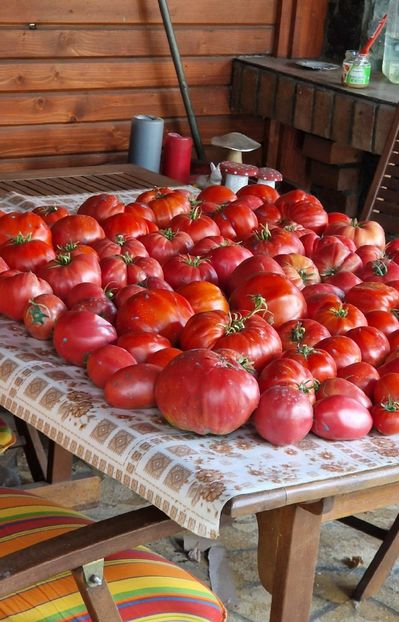 Foarte frumoase si sanatoase - 09 Gradinuta de legume 2023