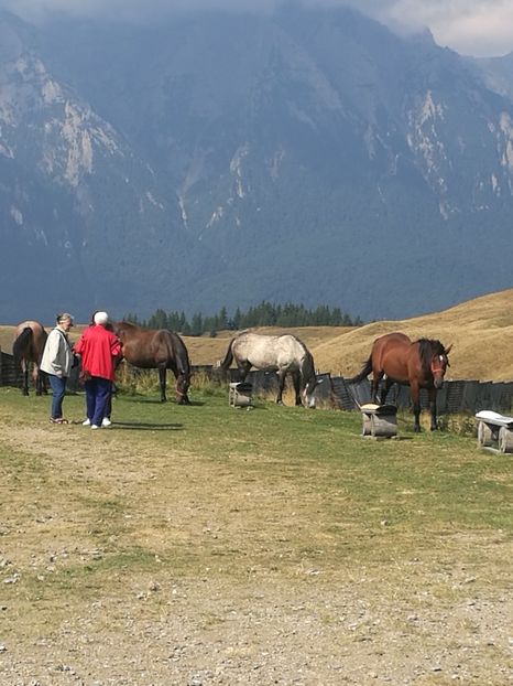  - 2023 08 august Azuga