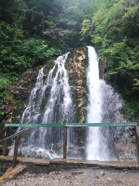  - 2023 08 august Azuga