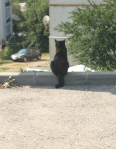  - 2023 08 august Azuga