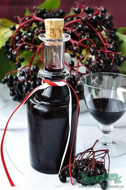  - Sirop din fructe de soc