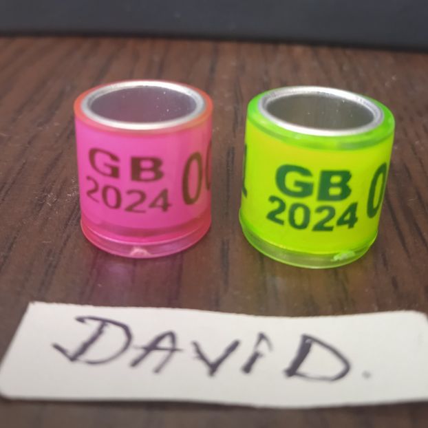GB 2024....-1 leu - Inele porumbei 2024 de vanzare