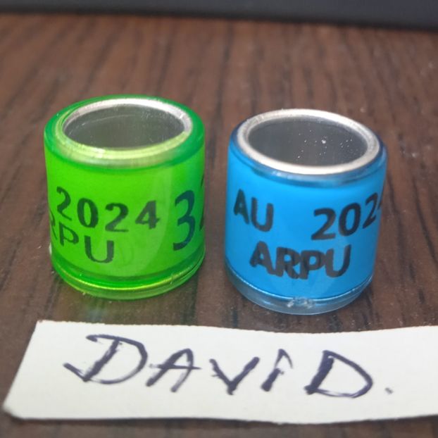 AU 2024....-1 leu - Inele porumbei 2024 de vanzare