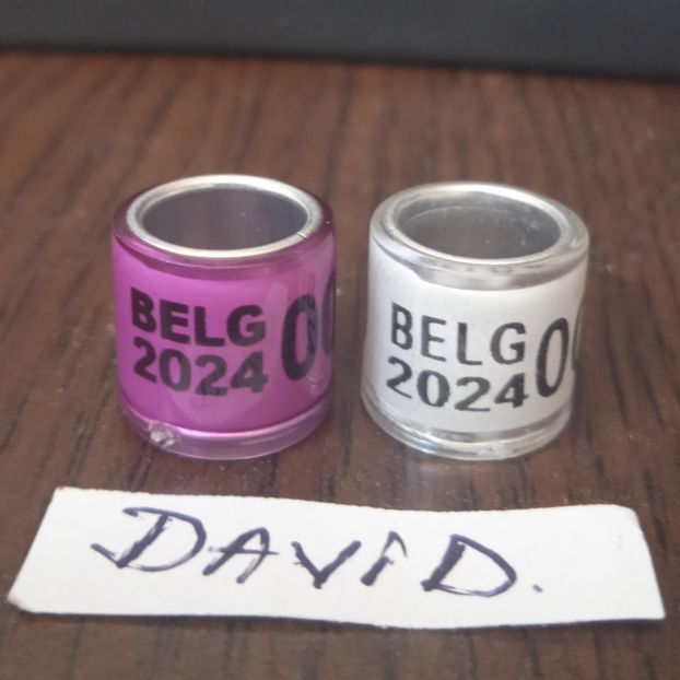 BELG 2024....-1 leu - Inele porumbei 2024 de vanzare
