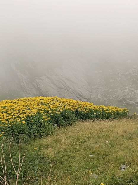 Img.2023.08.17 - Transfăgărășan Cârța jud Sibiu