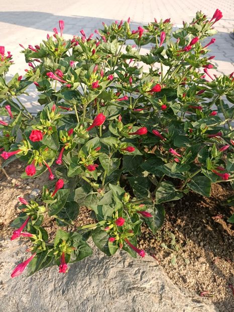 Img.2023.08.17 - Transfăgărășan Cârța jud Sibiu