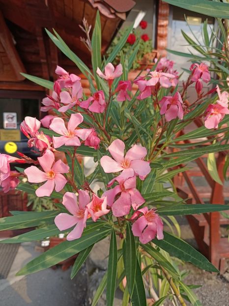 Img.2023.08.17 - Transfăgărășan Cârța jud Sibiu