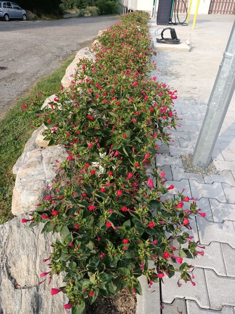 Img.2023.08.17 - Transfăgărășan Cârța jud Sibiu