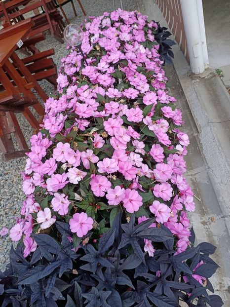 Img.2023.08.17 - Transfăgărășan Cârța jud Sibiu