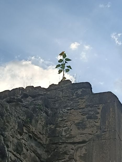 Img.2023.08.17 - Transfăgărășan Cârța jud Sibiu