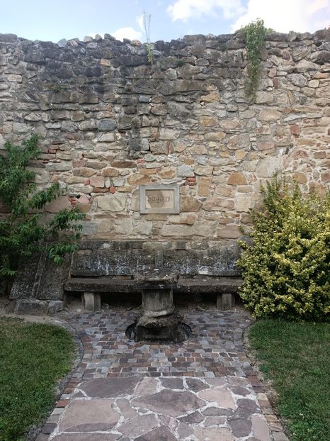 IMG20230817191833 - Transfăgărășan Cârța jud Sibiu