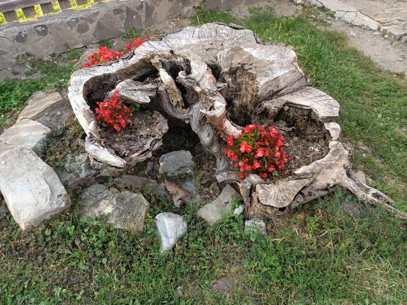 Img.2023.08.17 - Transfăgărășan Cârța jud Sibiu