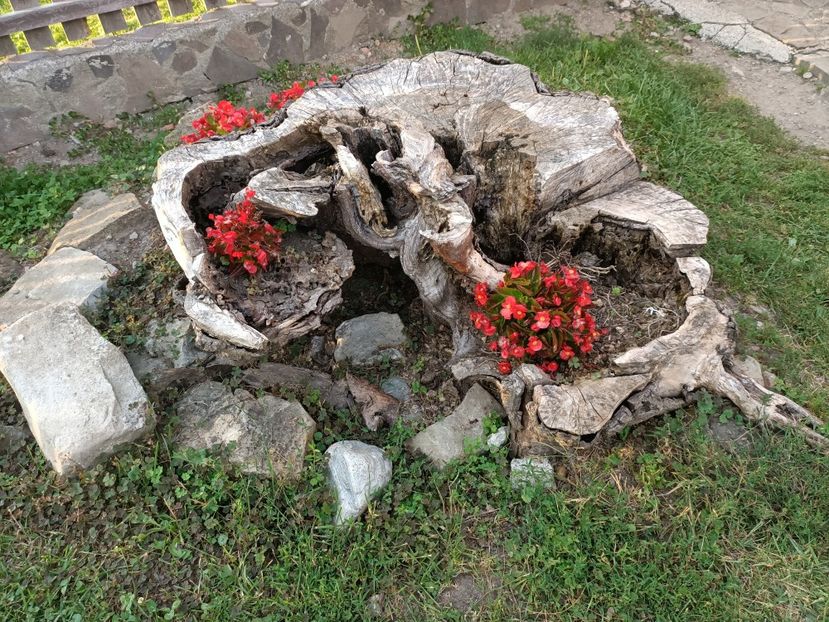 Img.2023.08.17 - Transfăgărășan Cârța jud Sibiu