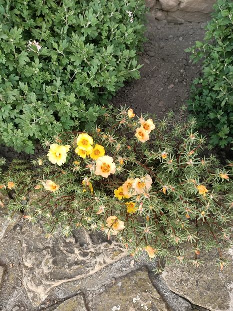 Img. 2023.08.17 - Transfăgărășan Cârța jud Sibiu