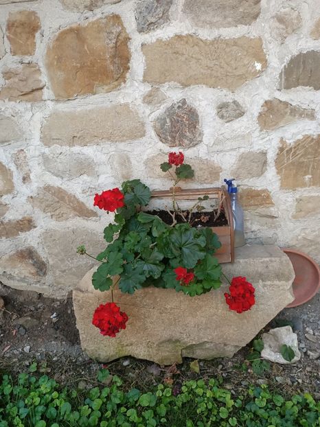 Img.2023.08.17 - Transfăgărășan Cârța jud Sibiu