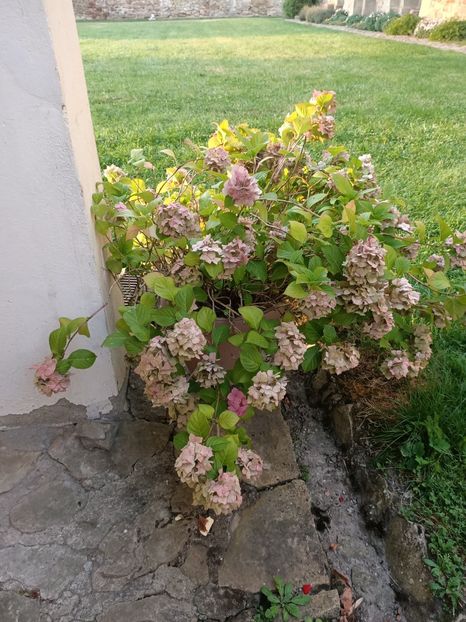 Img.2023.08.17 - Transfăgărășan Cârța jud Sibiu