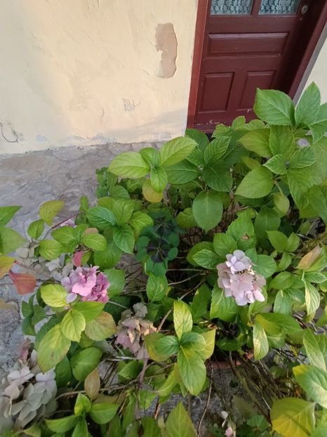 Img.2023.08.17 - Transfăgărășan Cârța jud Sibiu