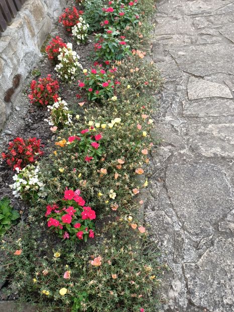 Img.2023.08.17 - Transfăgărășan Cârța jud Sibiu