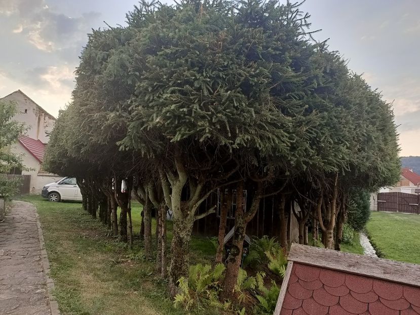 2023.08.17 - Transfăgărășan Cârța jud Sibiu