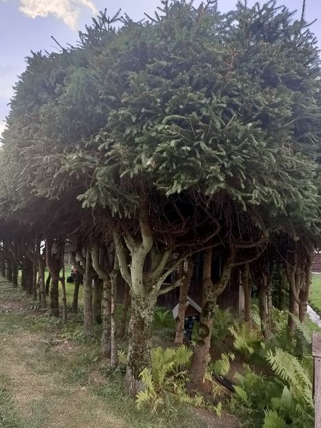 Img.2023.08.17 - Transfăgărășan Cârța jud Sibiu