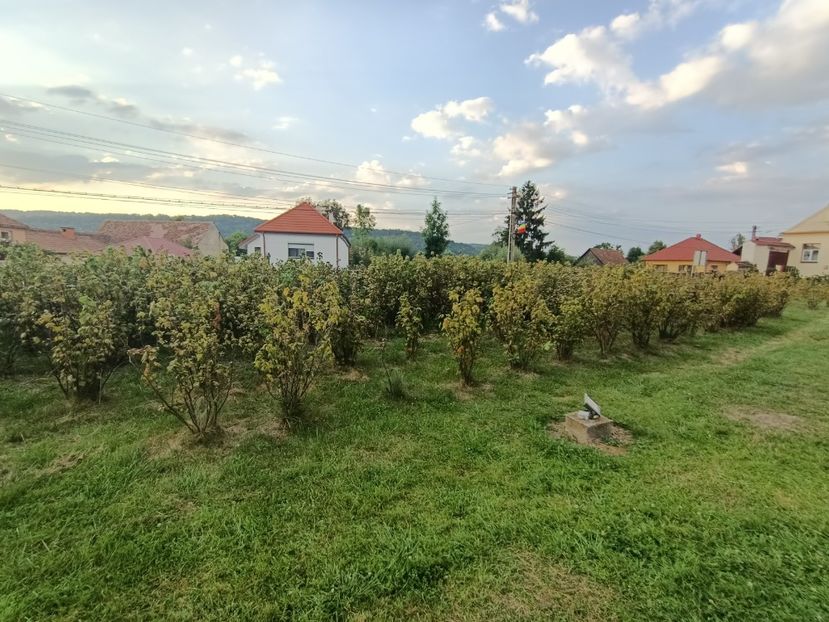 Img.2023.08.17 - Transfăgărășan Cârța jud Sibiu