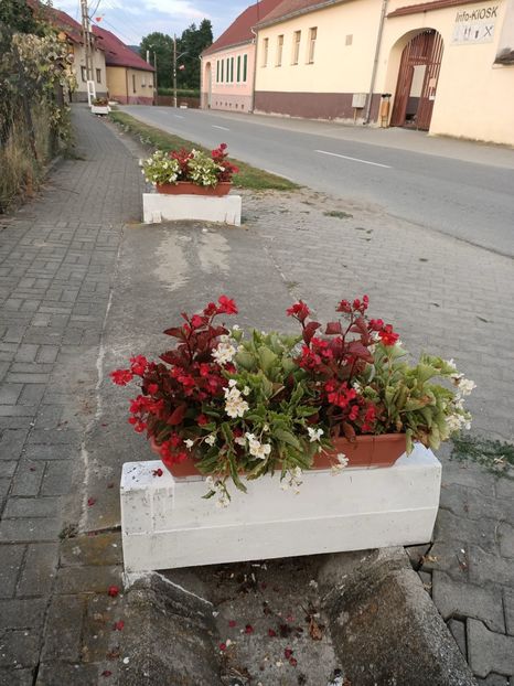 Img.2023.08.17 - Transfăgărășan Cârța jud Sibiu