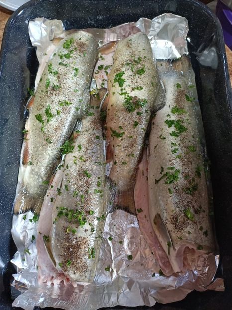 Img. 2023.08.18 - Transfăgărășan Cârța jud Sibiu