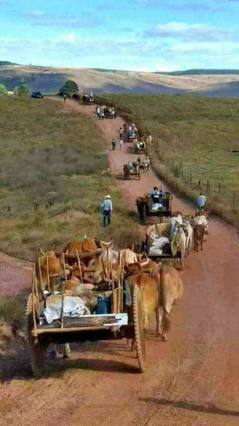  - Simboluri