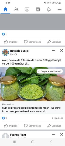 Screenshot_20230825_185618_Facebook - Sos din frunze de hrean la borcan pentru iarna