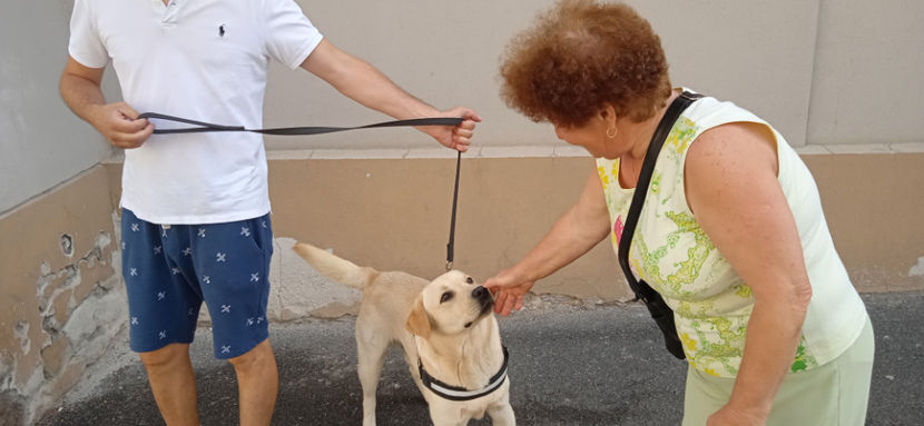  - Excursie la Brasov