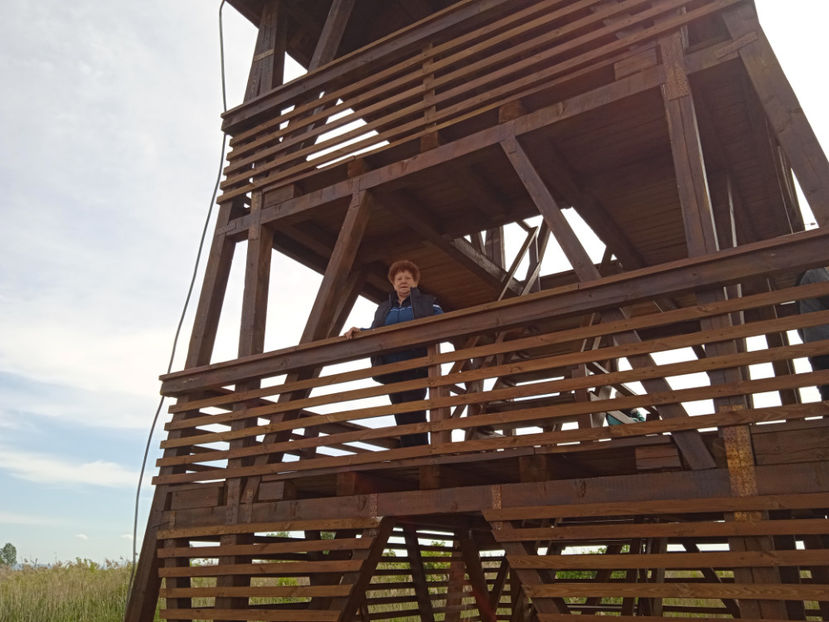  - Tinovul de la Odoreu