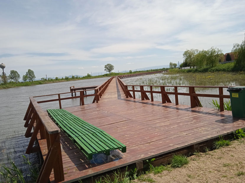  - Tinovul de la Odoreu