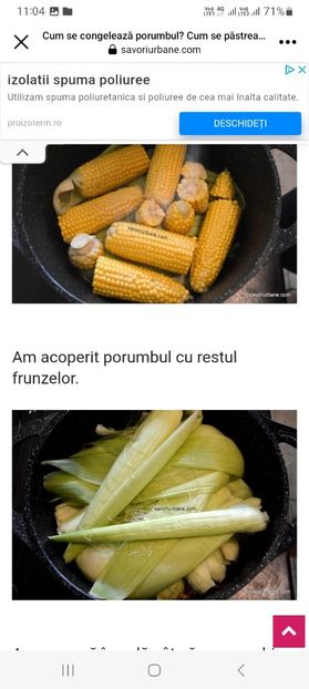 Screenshot_20230826_110416_Facebook - Porumb la borcan pentru iarna sau porumb congelat