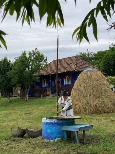  - Simboluri