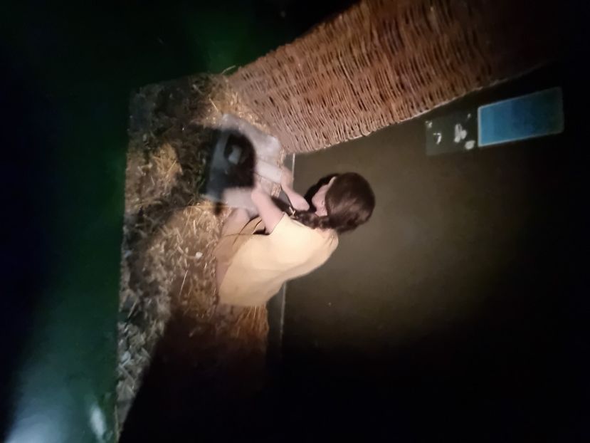  - Dublin 26 aug 2023